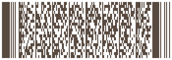 erste qr